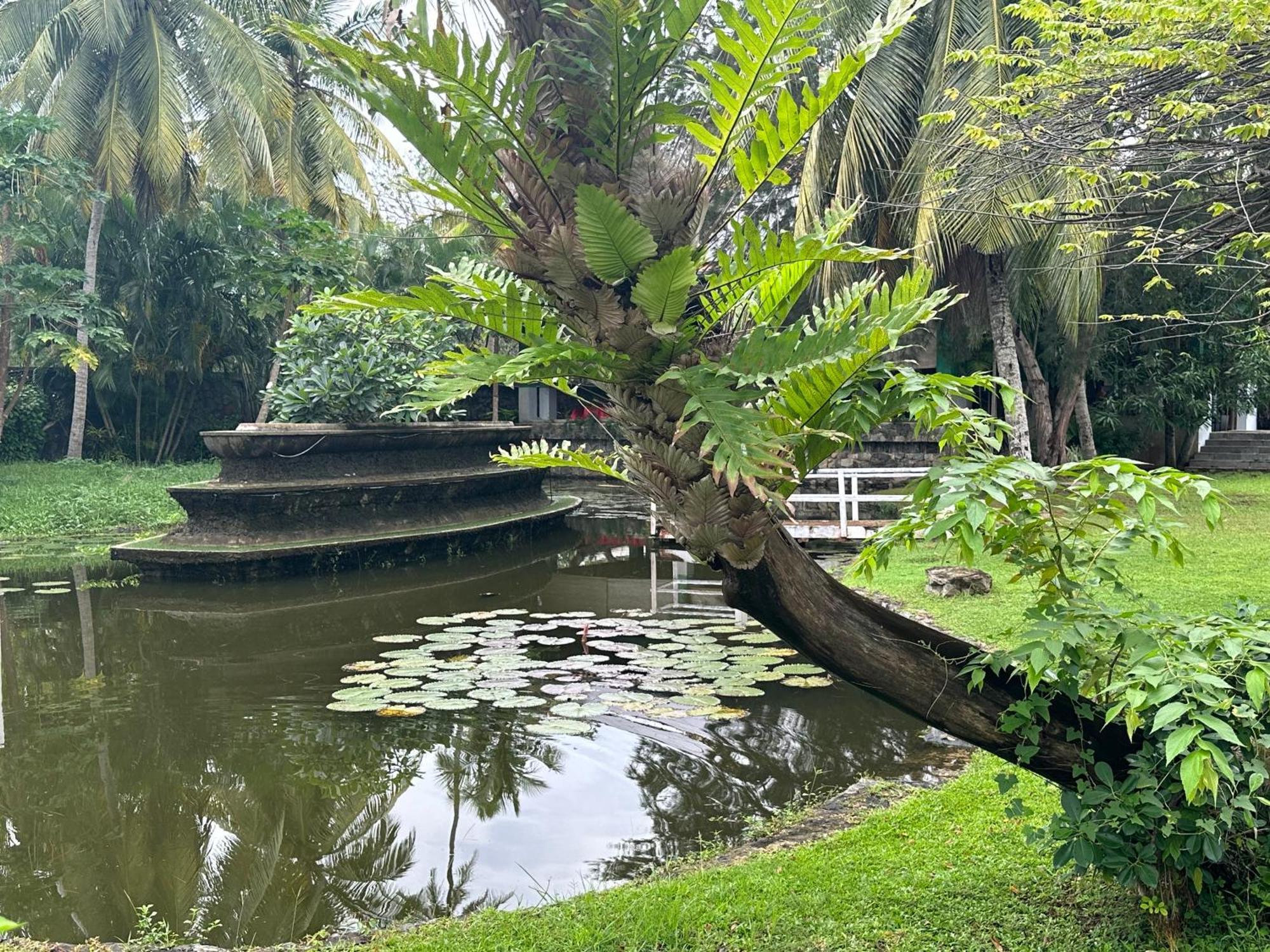 Amaluna Resorts Negombo Luaran gambar